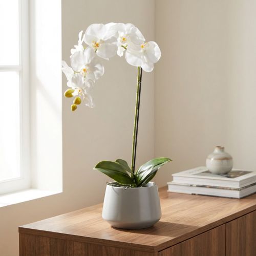 Artikel Künstliche Orchidee Weiss im Topf 62 cm für Wohn- und Bürodekoration