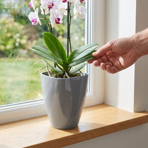 Orchideentopf Kunststoff glänzend Grau Ø12,5 cm | Floristik24.ch