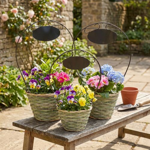 Blumenkörbe Henkel Metall Ø23/20/17 cm Natur/Grün/Grau 3er-Set mit Schild | Floristik24.ch