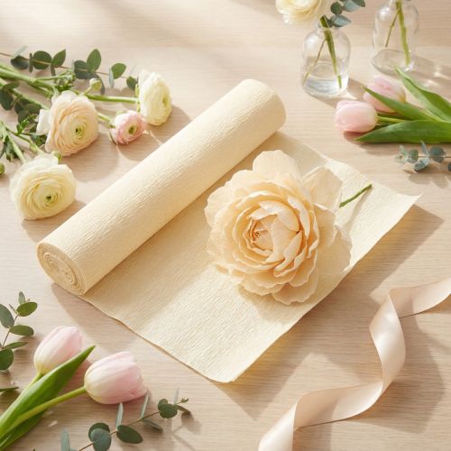 Floristen-Krepppapier 50×250 cm Champagner für Dekorationen und Bastelarbeiten | Floristik24.ch