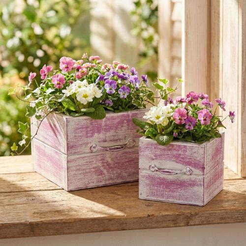 Pflanzschublade 2er-Set Holz Rosa Weiss mit Griff 12 cm und 15 cm für Dekoration und Bepflanzung | Floristik24.ch