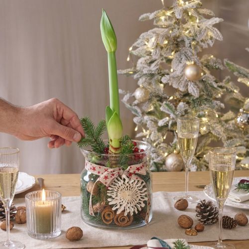 Deko Glas Vase Windlicht Glas Klar Ø18cm H20cm | Floristik24.ch