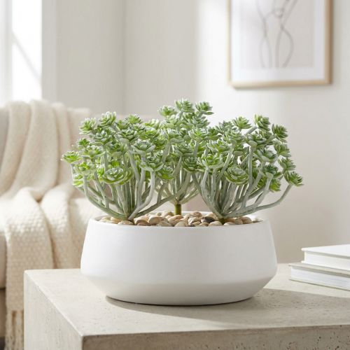 Sukkulente Echeveria 17 cm Grau aus Kunststoff, 3 Stück | Floristik24.ch