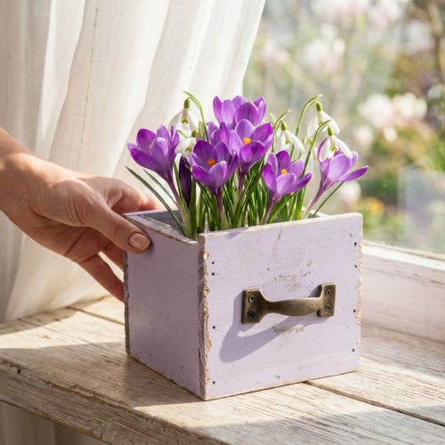 Holzschublade mit Metallgriff Lila 12,5×12,5×10 cm für Blumendeko und Frühlingsdekoration | Floristik24.ch