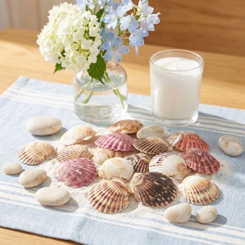 Herzmuscheln Natur Deko 3–5cm 300g für kreative Gestaltung | Floristik24.ch