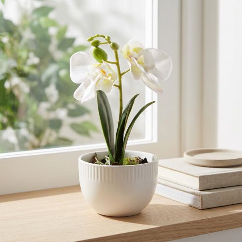 Mini Orchideen künstlich Weiss im Topf 15cm | Floristik24.ch