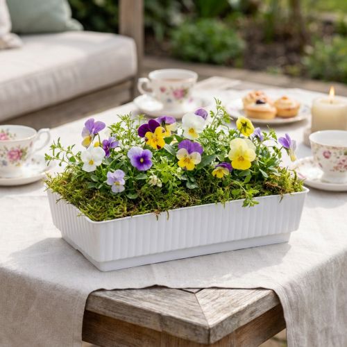 Weisse Kunststoff-Steckschale für Gestecke 15x8x4cm 10 Stück | Floristik24.ch