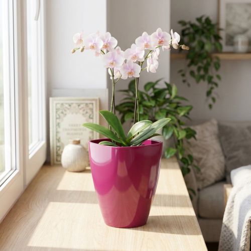 Orchideentopf glänzend Kunststoff Ø12,5cm Kirsche 1 Stück | Floristik24.ch