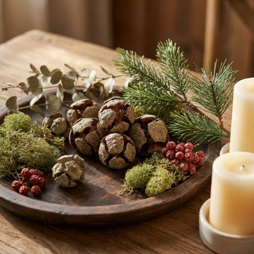 Zypressenzapfen Natur 500g ca. 3-7cm | Floristik24.ch