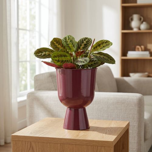 Blumentopf Metall Pokalform 23 cm Bordeauxrot für Innenräume | Floristik24.ch