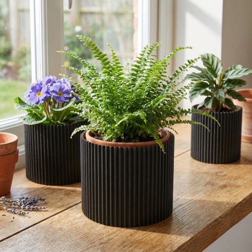 Übertopf aus Papier Schwarz Ø19cm H14cm 3er-Set – Innenbereich und Dekoration | Floristik24.ch