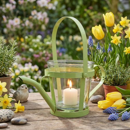 Windlicht Giesskanne aus Metall und Glas Grün Ø14cm H13cm | Floristik24.ch