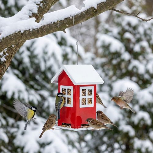Vogelfutterhaus aus Metall Rot-Weiss 19cm mit Aufhängung für Garten | Floristik24.ch