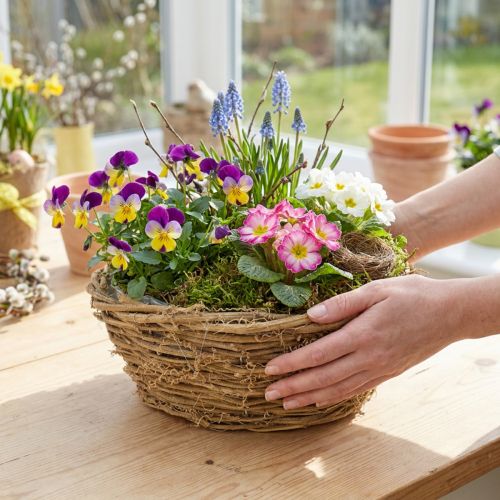 Pflanzschale rund aus Reben mit Folie Ø23cm H9,5cm naturfarben für Innen- und Aussenbereich | Floristik24.ch