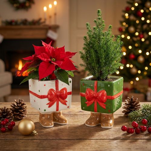 Artikel Keramik Übertopf Weihnachten Geschenkbox mit Füssen Grün oder Weiss H 12 cm