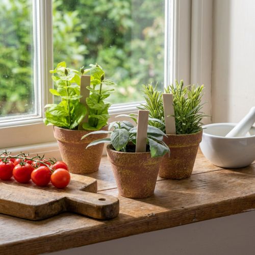 Künstlicher Kräutertopf mit Dekokräutern aus Kunststoff, 15 cm, Grün, 3er-Set | Floristik24.ch