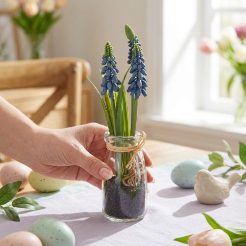 Hyazinthe künstlich Perlhyazinthe Blau im Glas 22 cm 2 Stück | Floristik24.ch