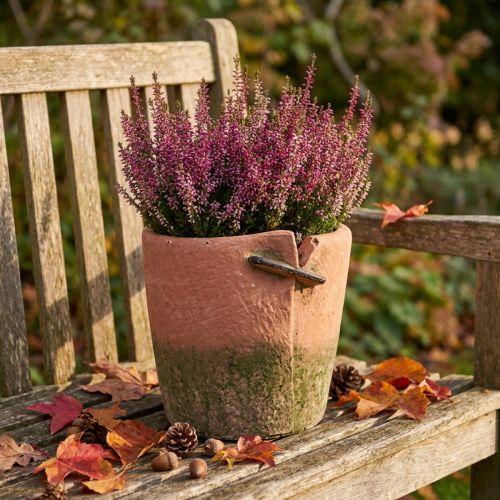 Beton-Übertopf Ø18cm H17cm Terracotta und Grün | Floristik24.ch