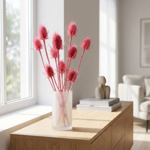 Wilde Karde Trockendeko Rosa Disteln 53cm 10 Köpfe | Floristik24.ch
