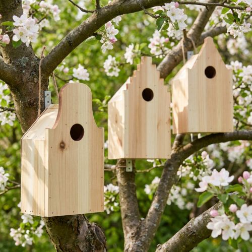 Artikel Vogelhaus-Set Holz Nistkasten Blaumeisen FSC Tanne H22.5cm 3er Pack
