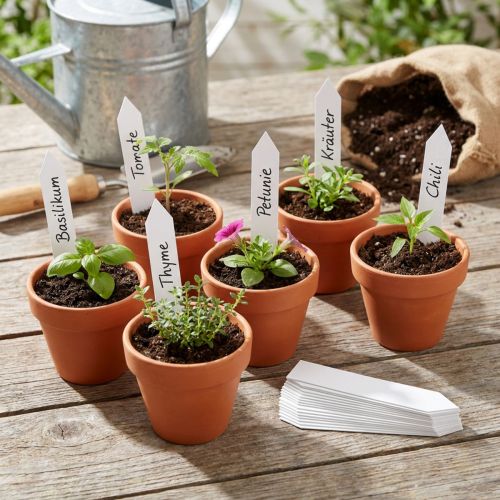 Weisse Stecketiketten aus Kunststoff 17 x 80 mm – 250 Stück | Floristik24.ch