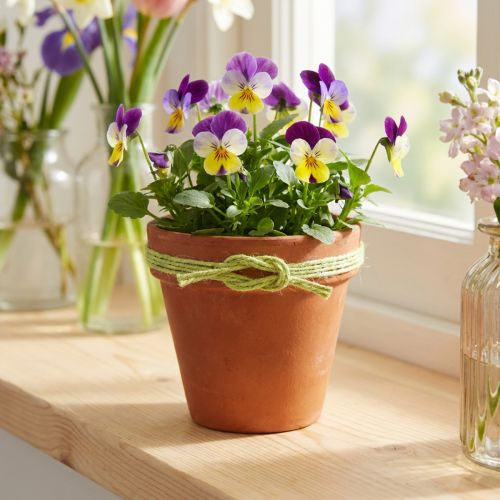 Juteband Grün Ø2mm 200m – Dekoband aus 100% Naturfaser für Bastel- und Dekoanwendungen | Floristik24.ch
