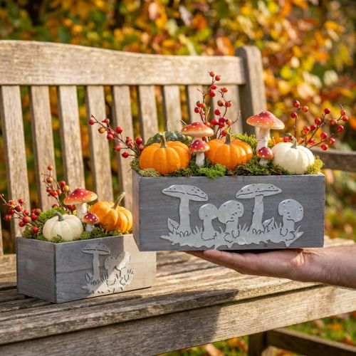 Holzkisten-Set mit Folie, Fliegenpilz-Motiv, Grau-Weiss, Pflanzgefässe 40/30cm 2er-Set für Innen- und Aussendekoration | Floristik24.ch