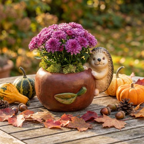 Pflanzgefäss Keramik Apfel mit Igel Ø16cm H22cm B33cm Herbstdeko Innen und Aussen | Floristik24.ch