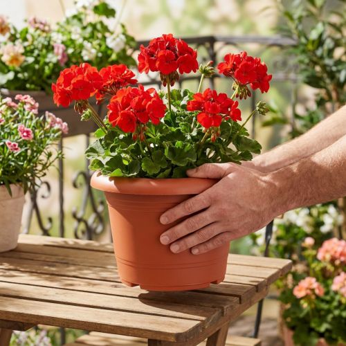 Artikel Pflanztopf Terrakotta Kunststoff Ø25cm