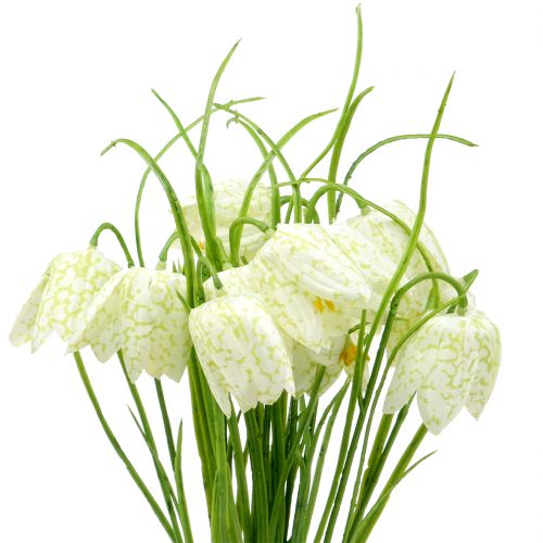 Floristik24 Schachbrettblumen Fritillaria künstlich Weiß, Grün 40cm 12 St