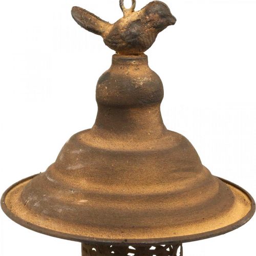 Floristik24 Vogel Futterstation zum Hängen in Rost-Optik Ø20cm H36cm