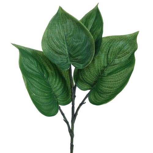 Floristik24 Philodendron Künstlich Baumfreund Kunstpflanzen Grün 39cm