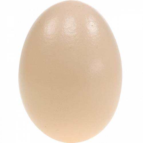 Floristik24 Gänseeier Creme Ausgeblasene Eier Osterdeko 12 St