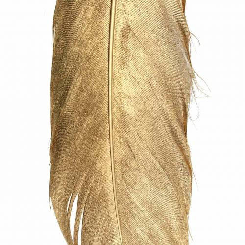 Floristik24 Goldene Federn zum Basteln 16-18cm 12St