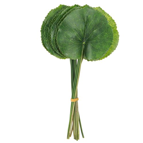 Artikel Galax Urceolata Blätter Künstlich Grün Ø10cm L23cm 12 St