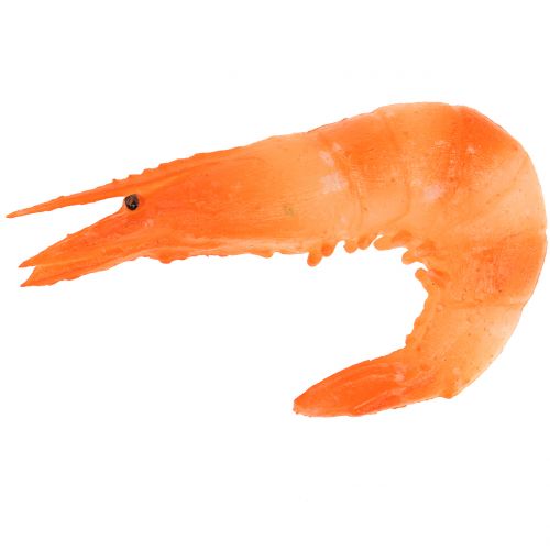 Floristik24 Garnelen künstlich 9cm 6St