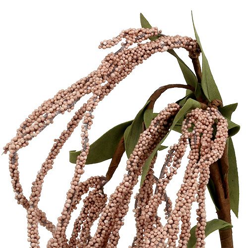 Floristik24 Garten-Fuchsschwanz 95cm