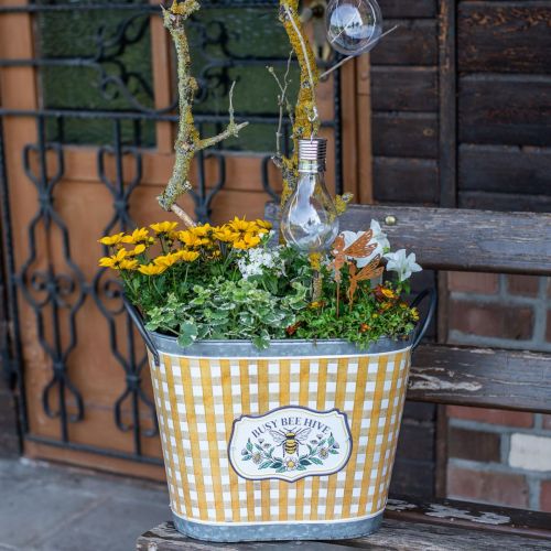 Floristik24 Gartendeko Solar LED Leuchte Glühbirne Warmweiß H15cm 5St