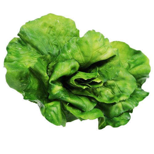 Floristik24 Gemüse Sortiment im Netz