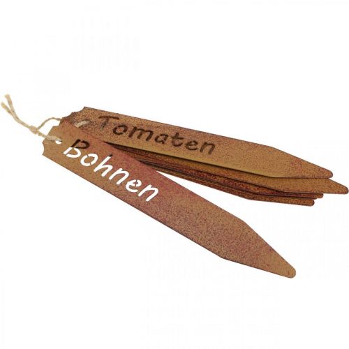 Floristik24 Roststecker, Gemüsebeschriftung, Pflanzenschilder Edelrost L20cm 9St