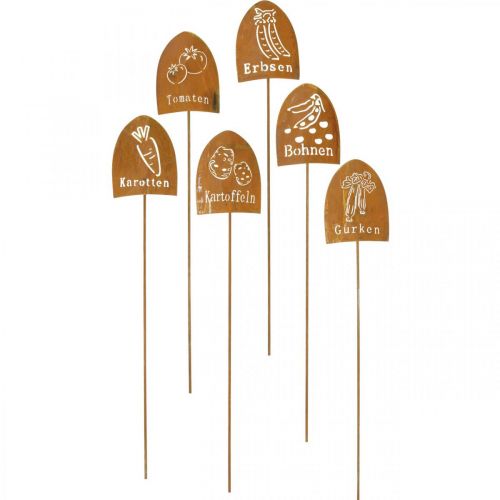 Floristik24 Pflanzenschilder, Gemüsestecker, Stecker aus Metall Edelrost L38cm 6St