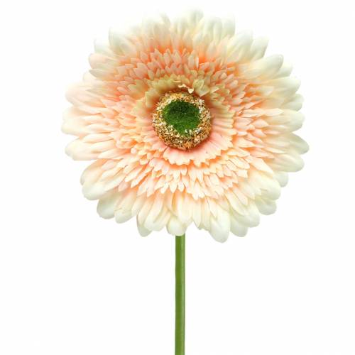 Floristik24 Gerbera künstlich Pfirsich 62cm 6St