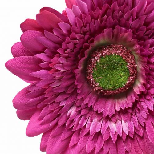 Floristik24 Gerbera künstlich Lila 62cm 6St
