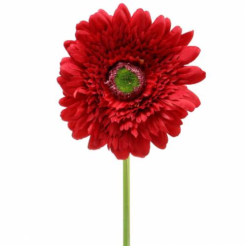 Floristik24 Gerbera künstlich Rot 62cm 6St