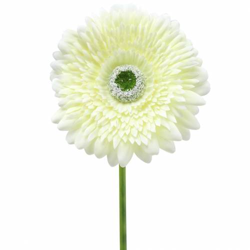 Gerbera künstlich Weiß 62cm 6 St