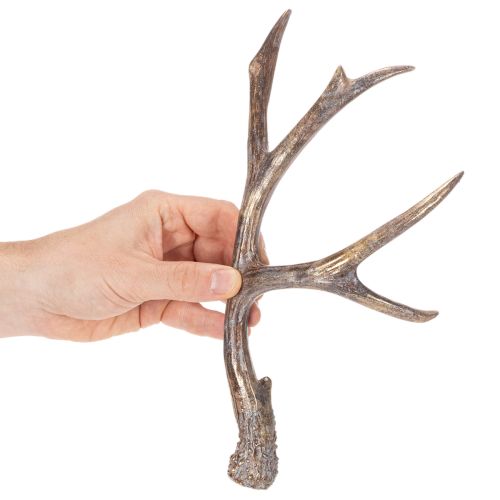 Deko Geweih aus Polyresin 29 cm braun-gold 2er-Set für Innenbereich | Floristik24.ch