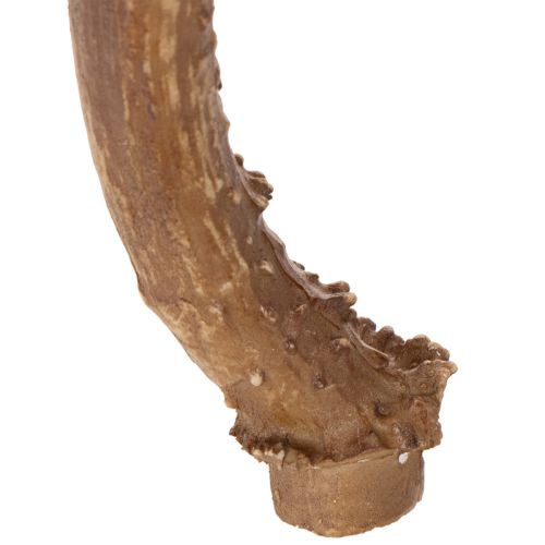 Künstliches Geweih aus