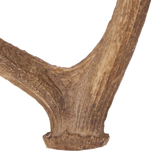 Deko-Geweih künstlich