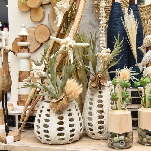 Floristik24 Geweihfarn 40cm