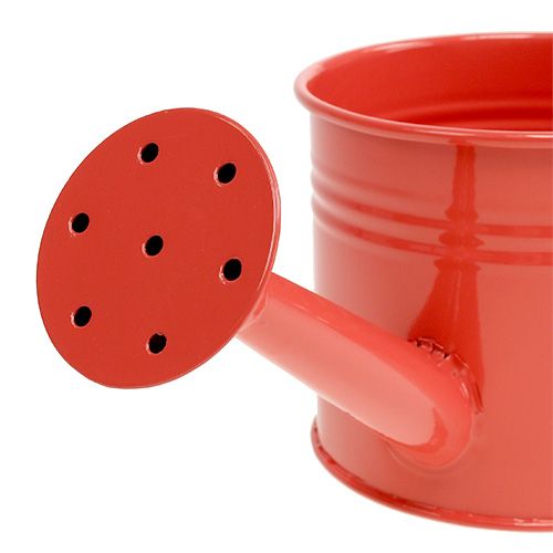 Floristik24 Gießkanne Orange Mix Ø11cm H9cm 8St